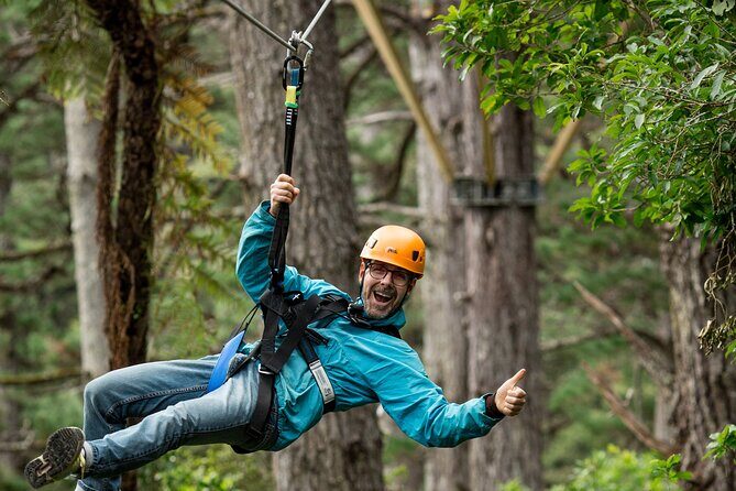 Adventurous Zipline Tour in Coromandel - The Sum Up  