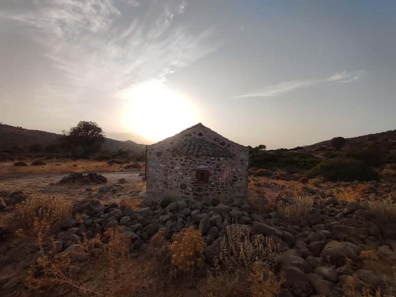 Aegina: Ancient Olive Grove (Eleonas) & Perdika Village Tour - A Closer Look at What to Expect