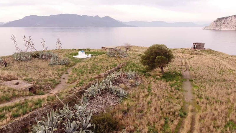 Aegina: Ancient Olive Grove (Eleonas) & Perdika Village Tour - Analyzing the Value