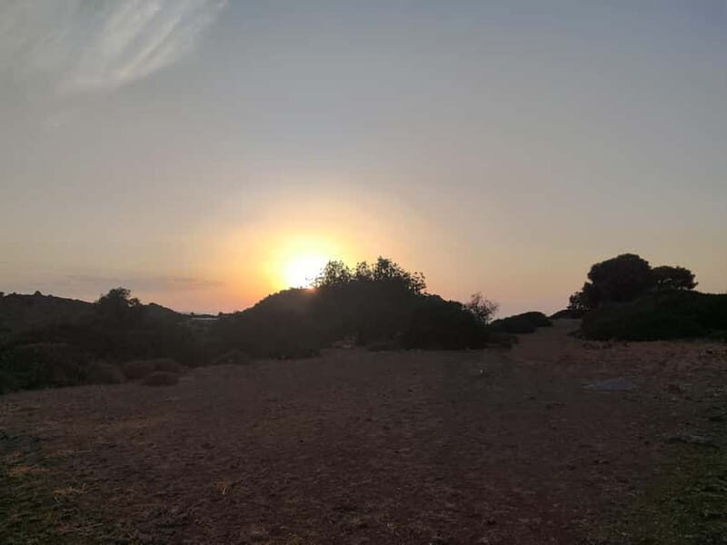 Aegina: Ancient Olive Grove (Eleonas) & Perdika Village Tour - Who Would Enjoy This Tour?