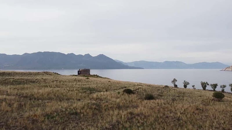 Aegina: Ancient Olive Grove (Eleonas) & Perdika Village Tour - Final Thoughts