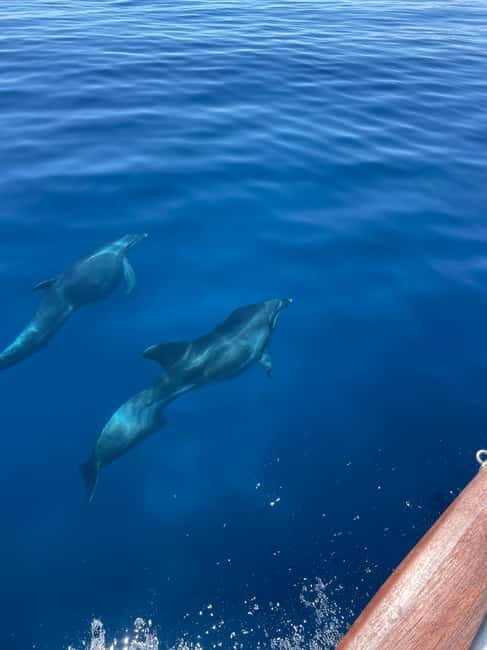 Aegina & Moni: Private Day Cruise - FAQ