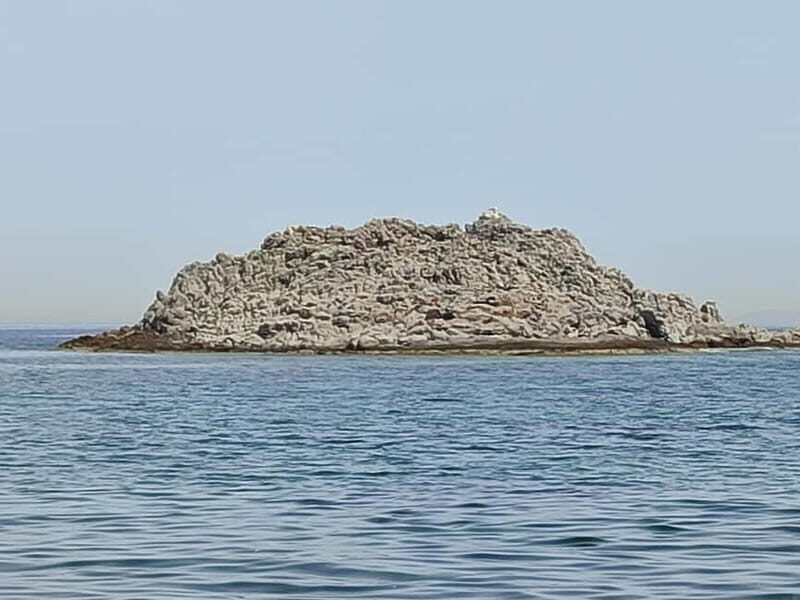 Aegina: Secret Beaches Alternative Tour - Authentic Experiences & Insights