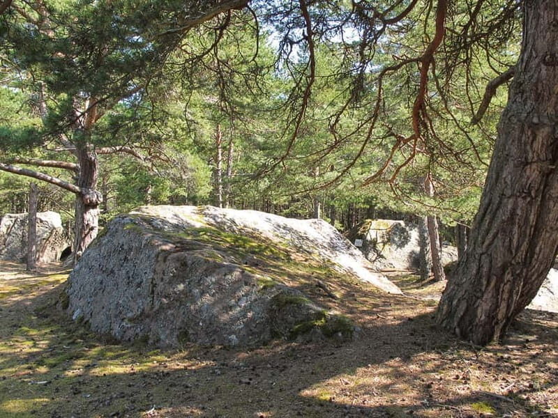 Aegna Island: Self-Guided Discovery Tour - The Sum Up