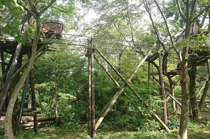 aerial-athletics-zipline-adventure