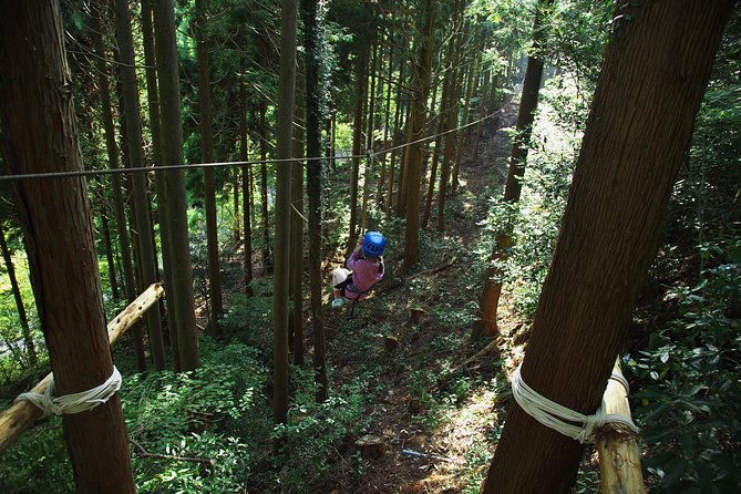 aerial-athletics-zipline-adventure