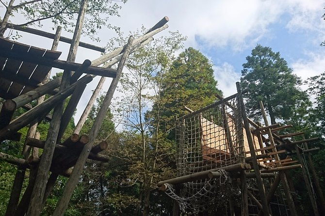 aerial-athletics-zipline-adventure