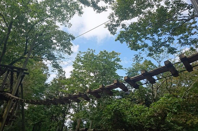 aerial-athletics-zipline-adventure