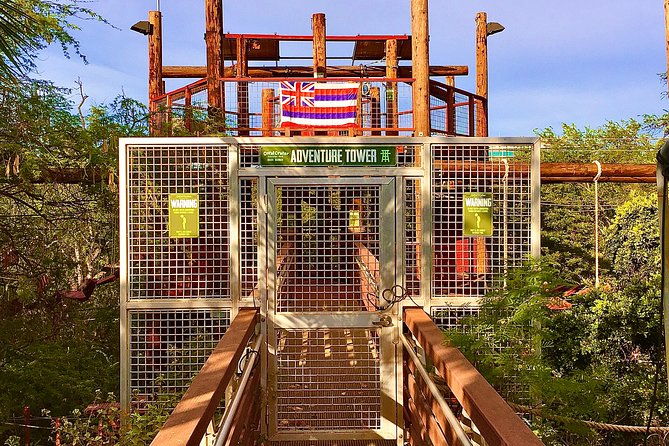 aerial-challenge-course