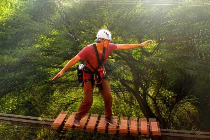 aerial-challenge-course