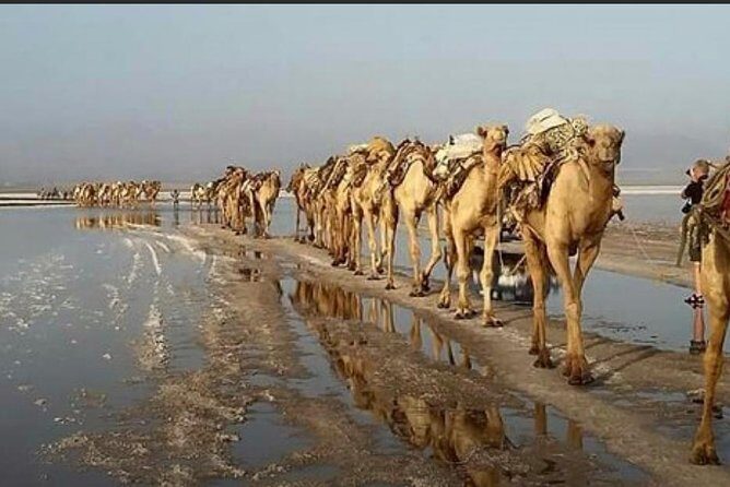 Afar Danakil Depression - What’s Included and What’s Not