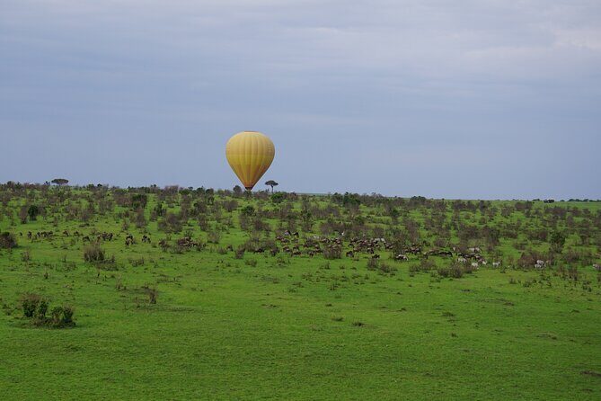 Affordable 3-Day Safari to Serengeti & Ngorongoro Crater - Authentic Traveler Insights: What Reviewers Say