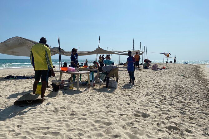 Affordable and Reliable Taxi Services in Zanzibar Island - Why Choose This Zanzibar Taxi Service?