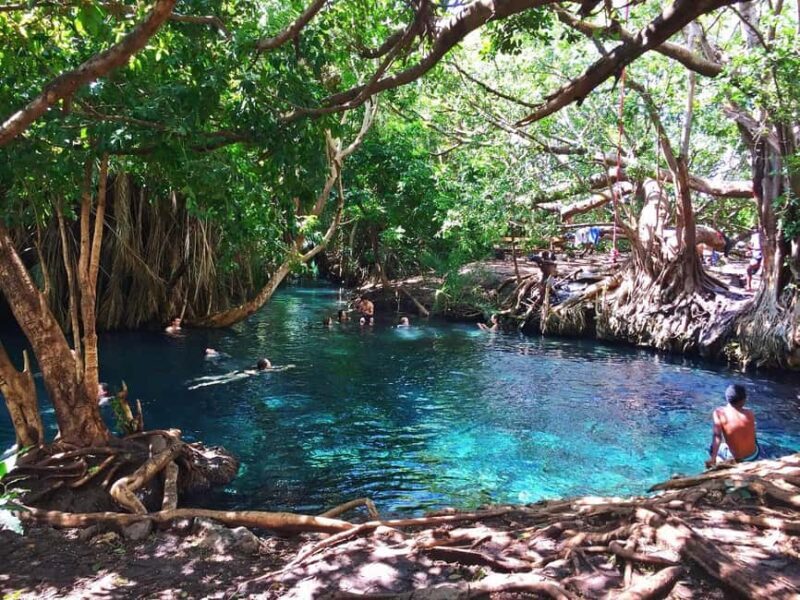Affordable Day Trip Tour to Chemka Hot Springs from Moshi - Key Points