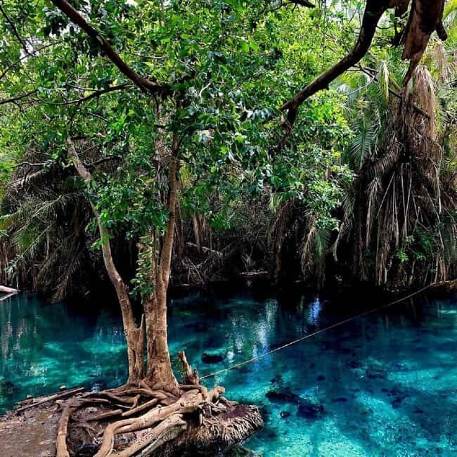 Affordable Day Trip Tour to Chemka Hot Springs from Moshi - Who Should Consider This Tour?