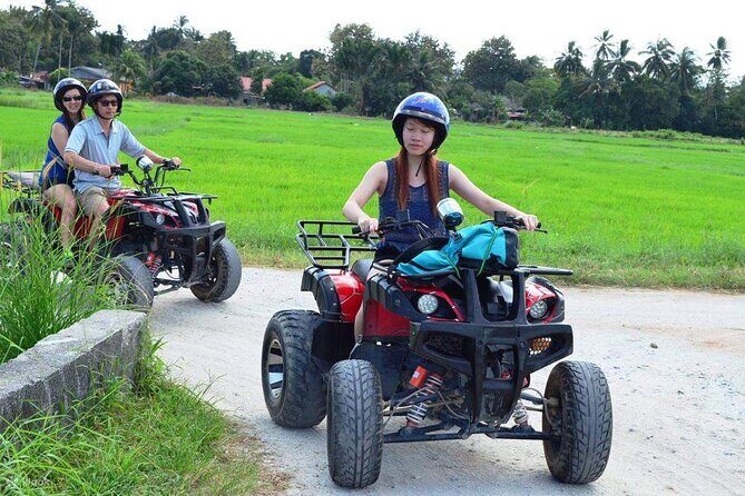 Affordable Langkawi Group Tour - SkyCab, Sky Bridge & Highlights - Authentic Insights from Reviews