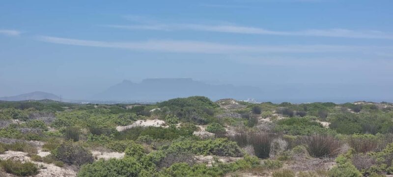 Africa is beautiful and natural , especially Cape Town - Final Thoughts
