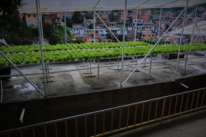 african-music-roots-private-tour-in-comuna-13-medellin