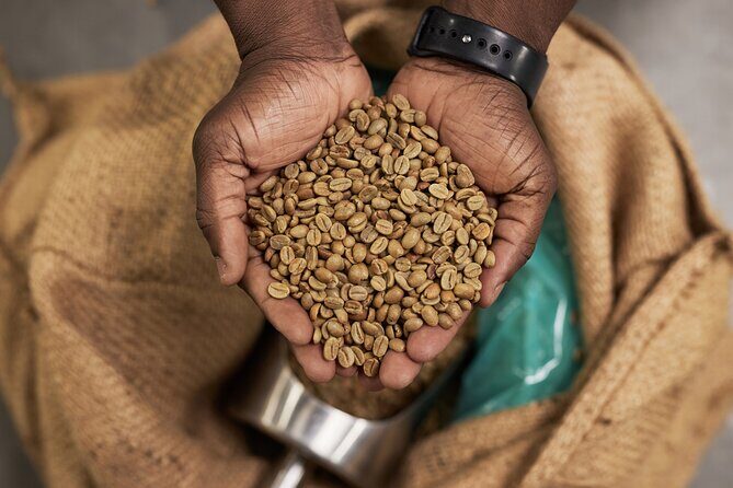 African Origin Coffee and Chocolate Walking Tour - Whats Included and Why It Matters  