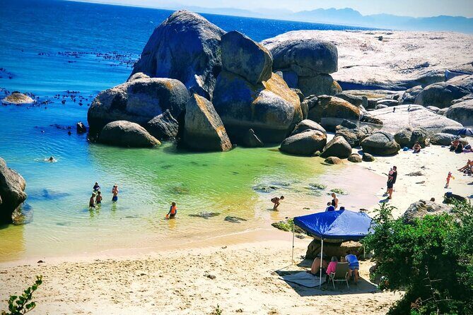 African Penguins (Boulders Beach) Half Day tour from Cape Town - The Sum Up