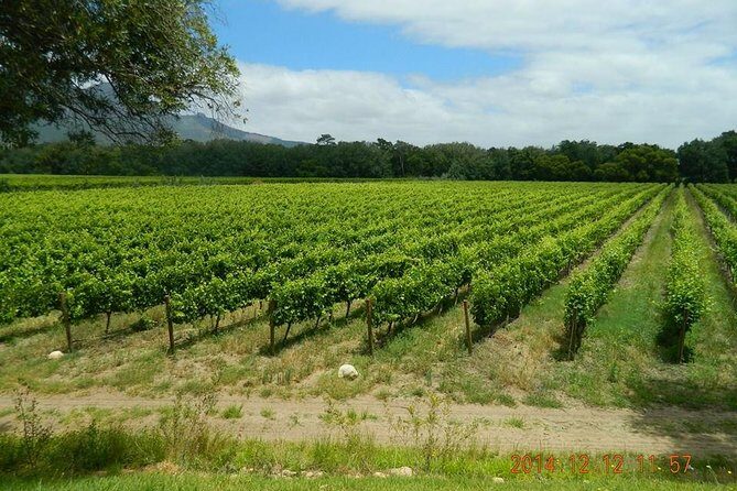 African Story Wine Tours in the Cape Winelands - FAQs