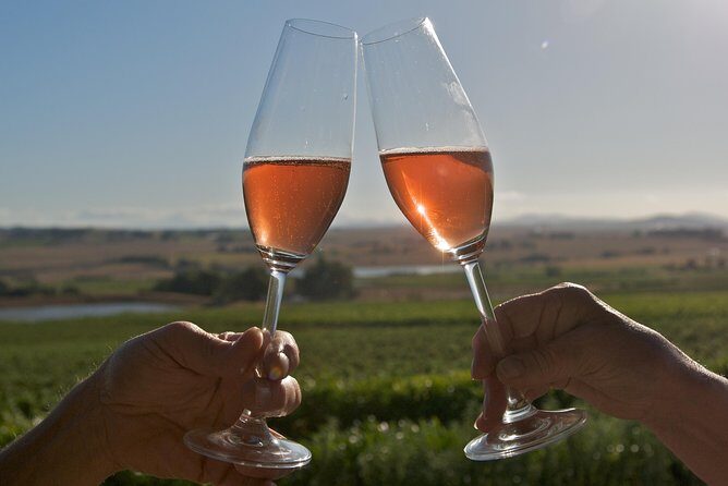African Story Wine Tours in the Cape Winelands - Final Thoughts