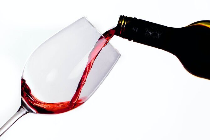 African Wine Cellar Tour with Lunch - Key Points