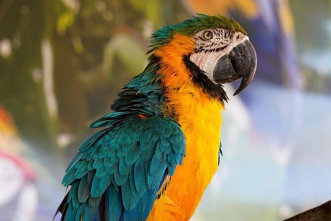 Africano Park Alexandria Safari From Cairo - Why Choose This Day Trip?