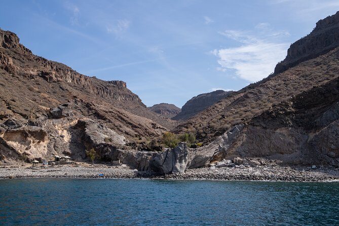 Afrikat Afternoon Cruise - What Travelers Say