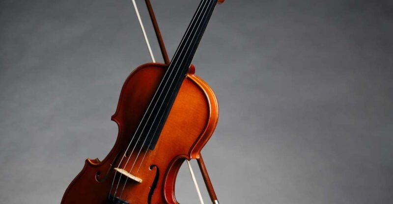 afternoon-access-to-accademia-gallery-david-stradivarius