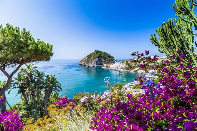 afternoon-bus-tour-of-the-island-of-ischia
