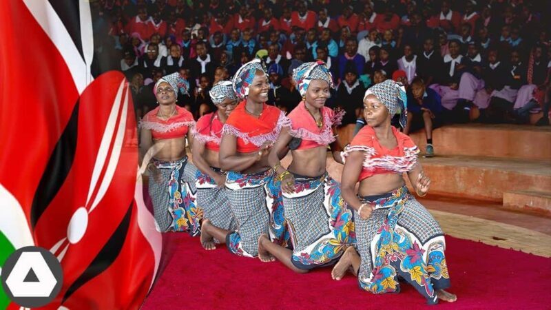 Afternoon Cultural Tour at Bomas of Kenya in Nairobi - What to Expect on Your Visit to Bomas of Kenya