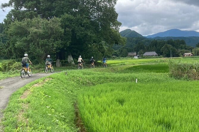 Afternoon Cycling Tour in Naruko - The Value Proposition