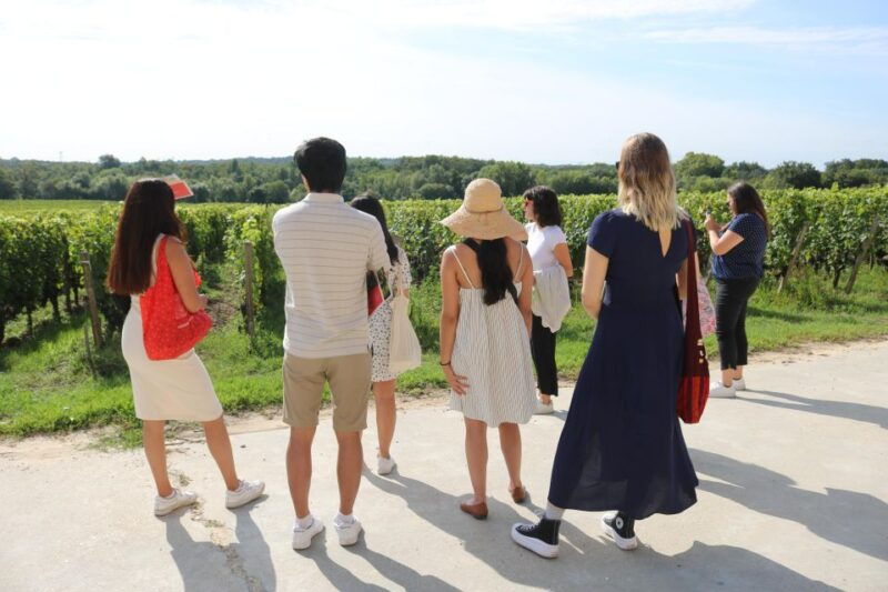 afternoon-delight-a-wine-tour