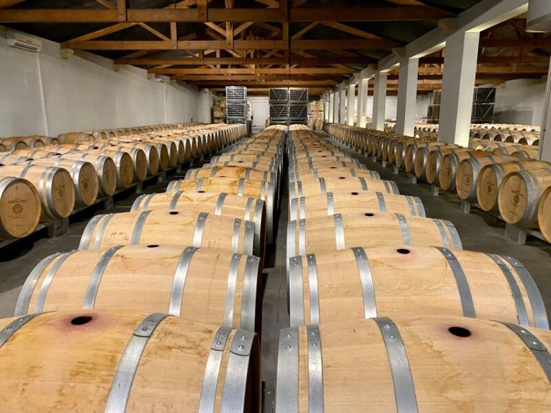 afternoon-delight-a-wine-tour