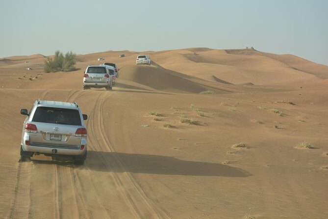 Afternoon Desert Safari with BBQ Dinner - Key Points