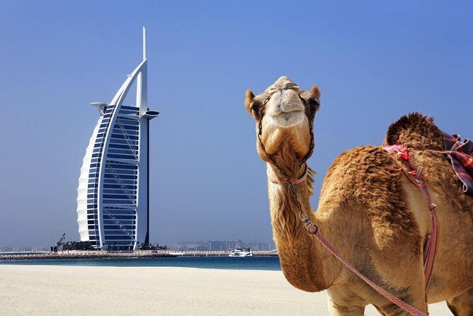Afternoon Dubai City Iconic Skyline Tour including Transfers - Frequently Asked Questions