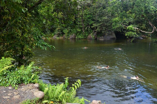 Afternoon & Evening Tour of Paronella Park - Final Thoughts  