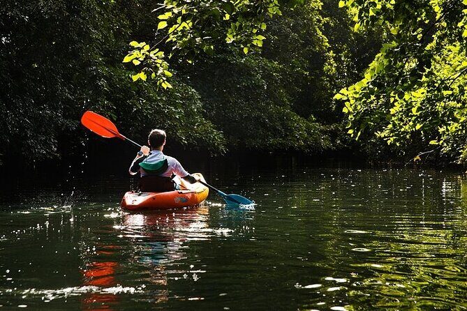 Afternoon Guided Kayak Activity on the Tamarin River - FAQs