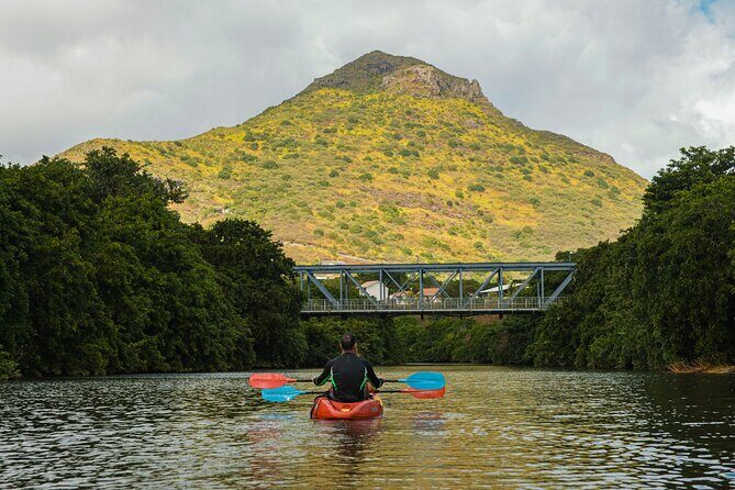 Afternoon Guided Kayak Tour on the Tamarin River - Who Will Love This Tour?