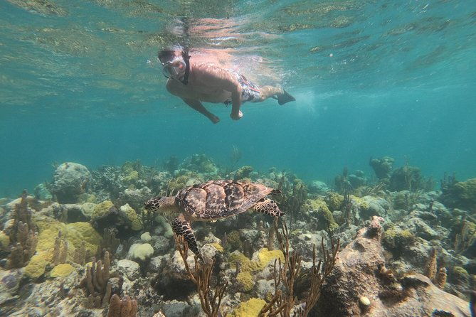 afternoon-half-day-cruise-from-providenciales-with-snorkeling-and-iguana-island