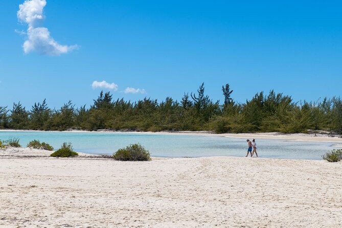 afternoon-half-day-cruise-from-providenciales-with-snorkeling-and-iguana-island