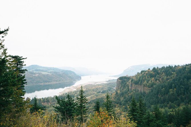 Afternoon Half-Day Multnomah Falls and Columbia River Gorge Waterfalls Tour from Portland - An In-Depth Look at the Tour Experience