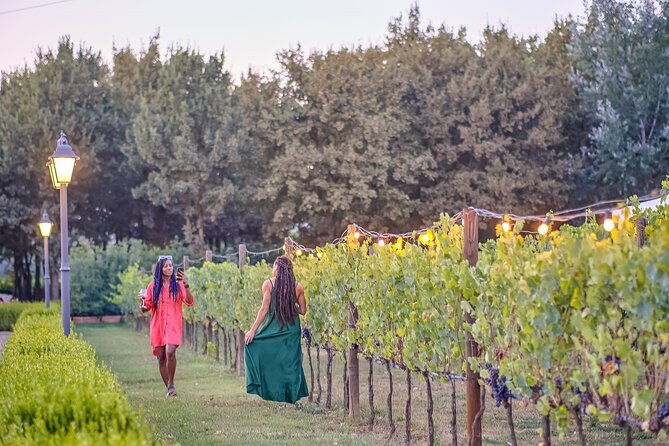 afternoon-in-siena-and-chianti-wine-tour-with-dinner-from-florence