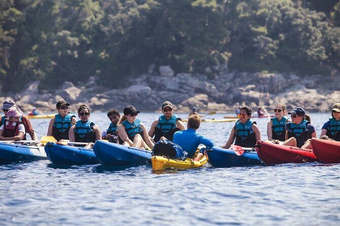 Afternoon Kayaking in Dubrovnik - The Itinerary: What to Expect During Your Kayaking Adventure