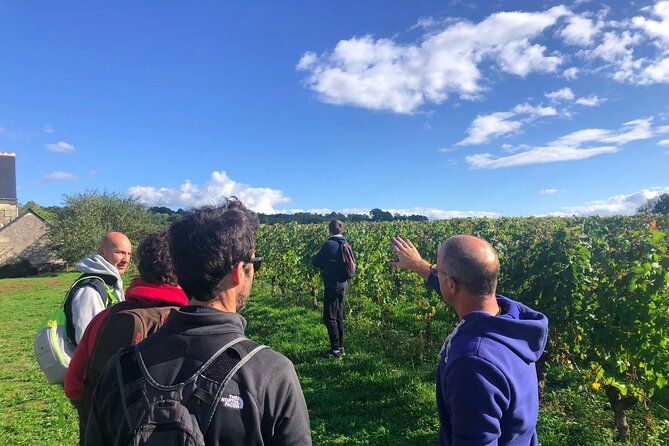 afternoon-loire-valley-wine-tour-from-tours-or-amboise