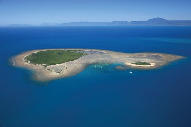 Afternoon Low Isles Snorkelling & Sunset Sail from Port Douglas - The Sum Up