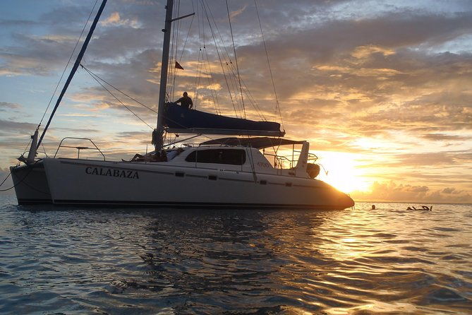 afternoon-luxury-catamaran-sailing-and-charter-cruise-from-bridgetown