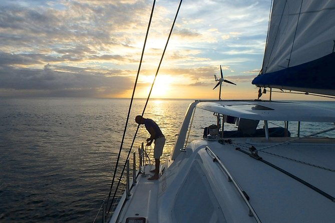 afternoon-luxury-catamaran-sailing-and-charter-cruise-from-bridgetown