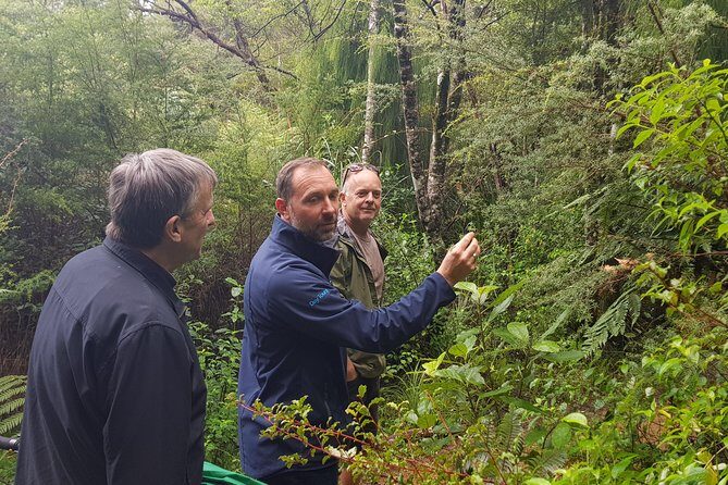 Afternoon Piha Beach and Rainforest Tour from Auckland - Is it Worth the Price?